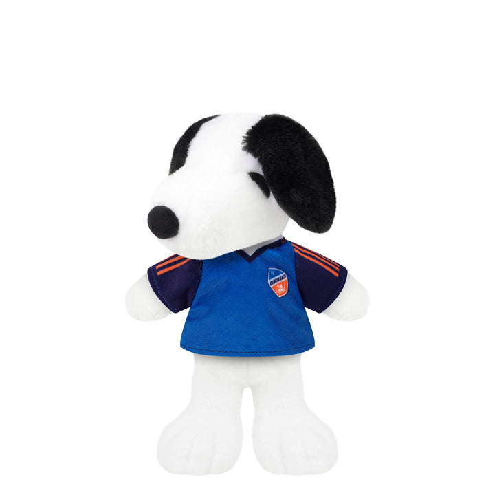 FCC Snoopy