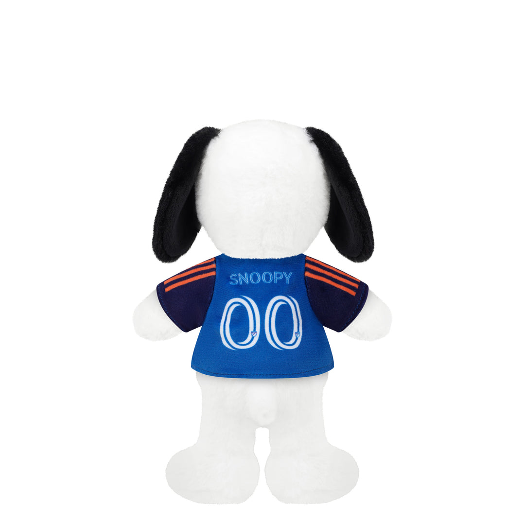FCC Snoopy