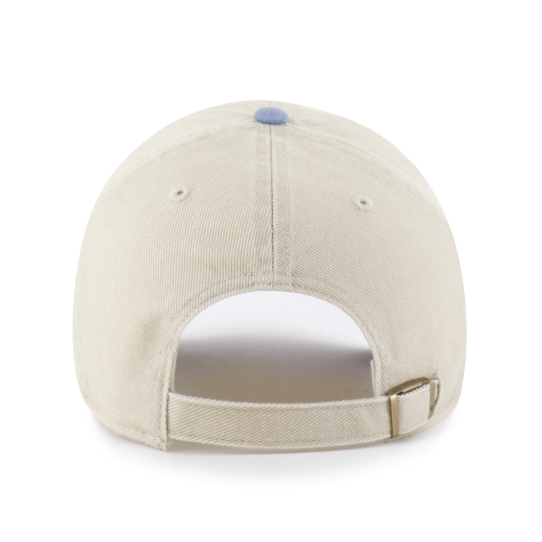 Lion Logo Clean Up Hat