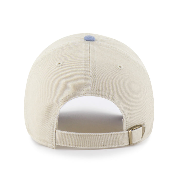Lion Logo Clean Up Hat